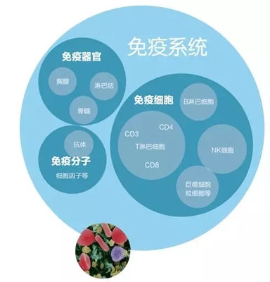 2020是一个拼免疫力的时代